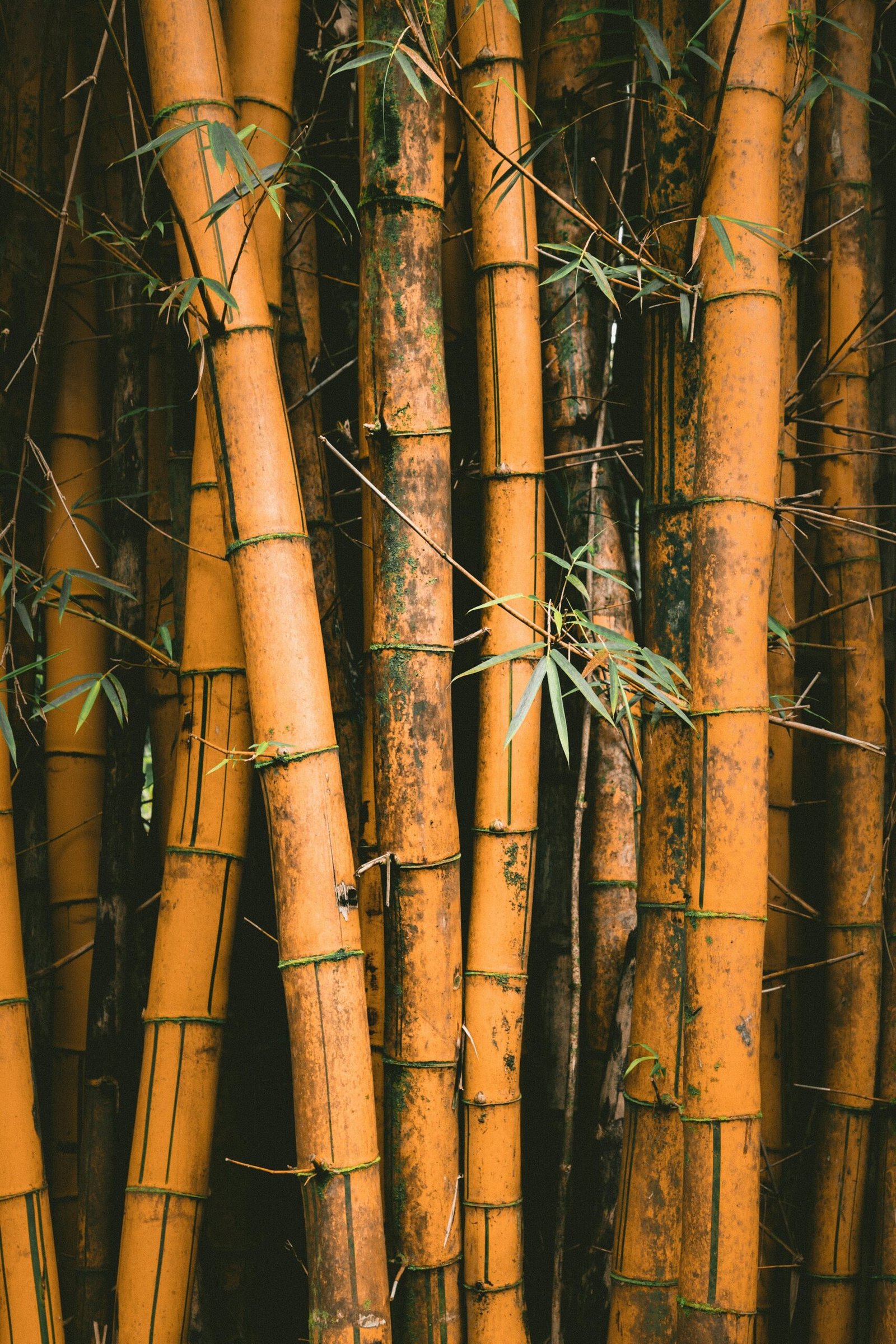jakob owens w0bocwrjr9y unsplash