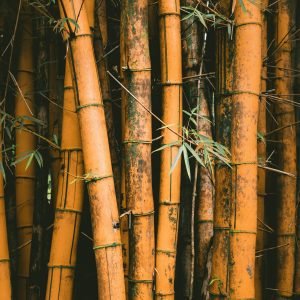 jakob owens w0bocwrjr9y unsplash